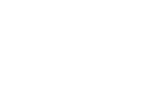 BDO Alliance logo