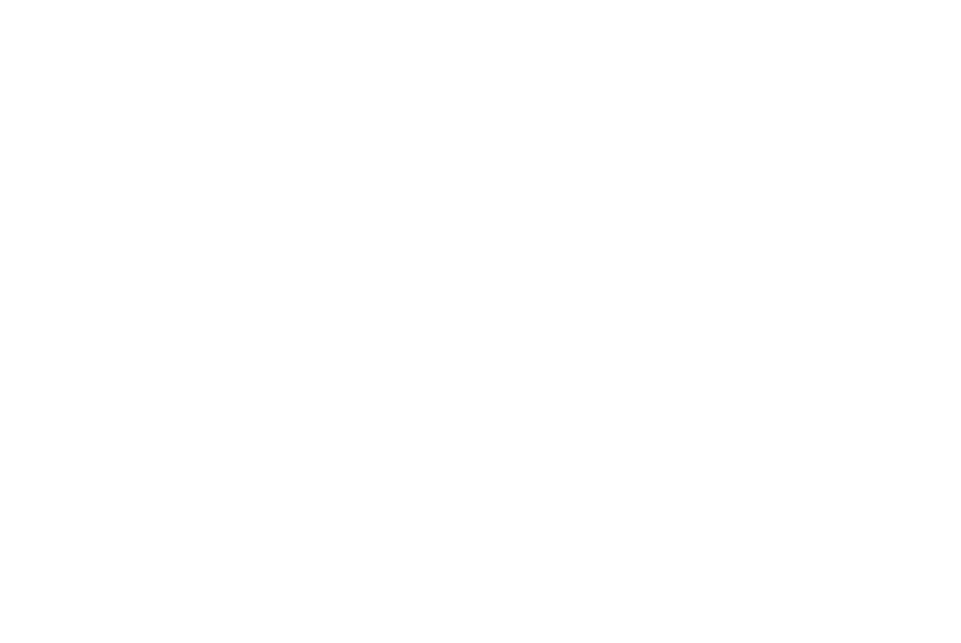 BDO Alliance logo